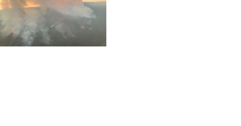 Evacuation orders issued with fear West Kelowna fire could grow 'exponentially' - Vimarsana News