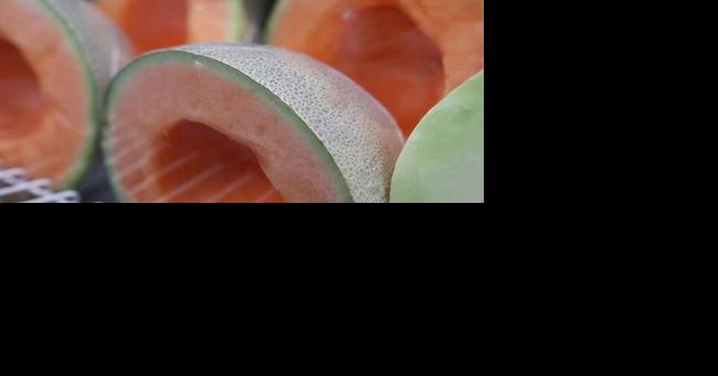 Ontario woman files proposed class-action lawsuit over salmonella-tainted cantaloupes - Vimarsana News