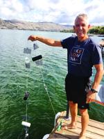 Dock owners are needed to help stop invasive mussels