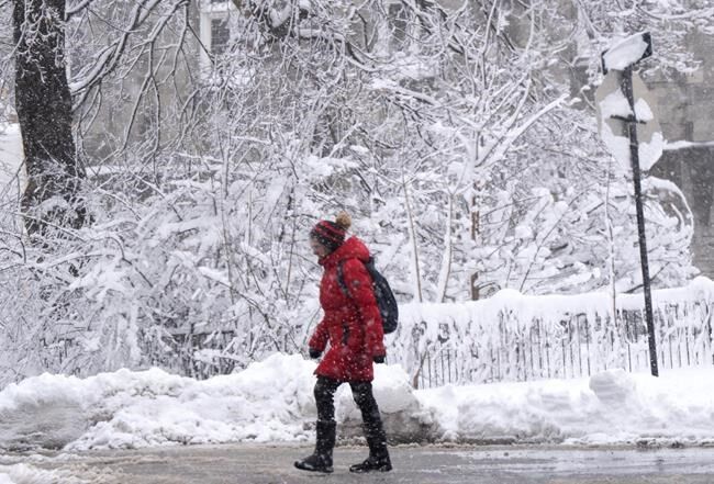 New tool to study how climate change has shifted the odds of extreme cold weather