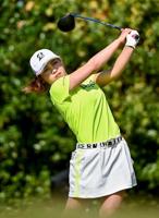 Suzuki and Udea tied atop Toto Japan Classic after 1st round