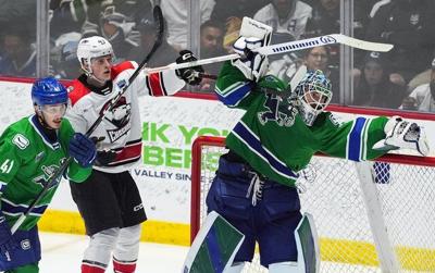 Canucks beat Checkers 3-2 to win first Calder Cup