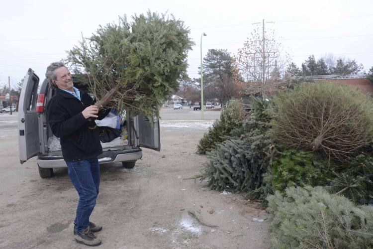 Chip old Christmas tree for charity News kelownadailycourier.ca