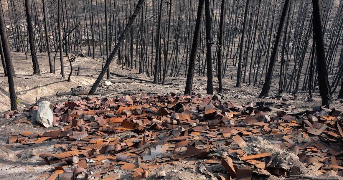 Photos of McDougall Creek fire's aftermath at Kelowna Art Gallery - Vimarsana News