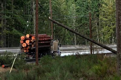 BC Hydro says power almost fully restored after ѻý windstorms