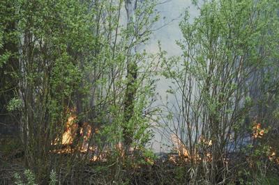 Satellite images reveal conditions that contributed to 'catastrophic' wildfire season