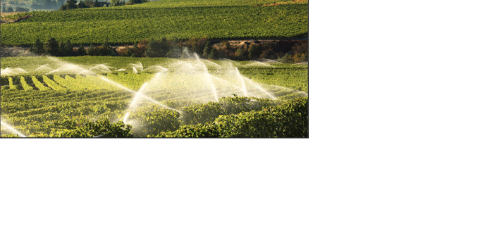 Kelowna farmers face water cap as drought fears rise - Vimarsana News
