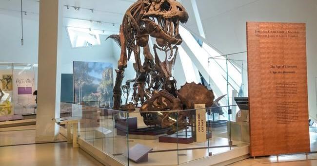 T. Rex an intelligent tool-user and culture-builder? Not so fast, says new research - Vimarsana News