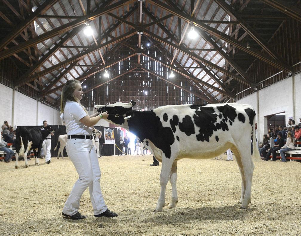 Summer weather in store for Armstrong fair's eagerly awaited return