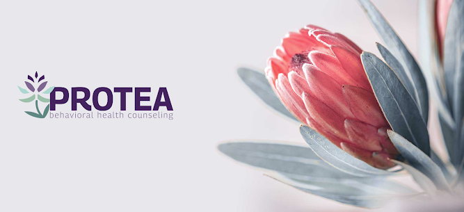 Protea