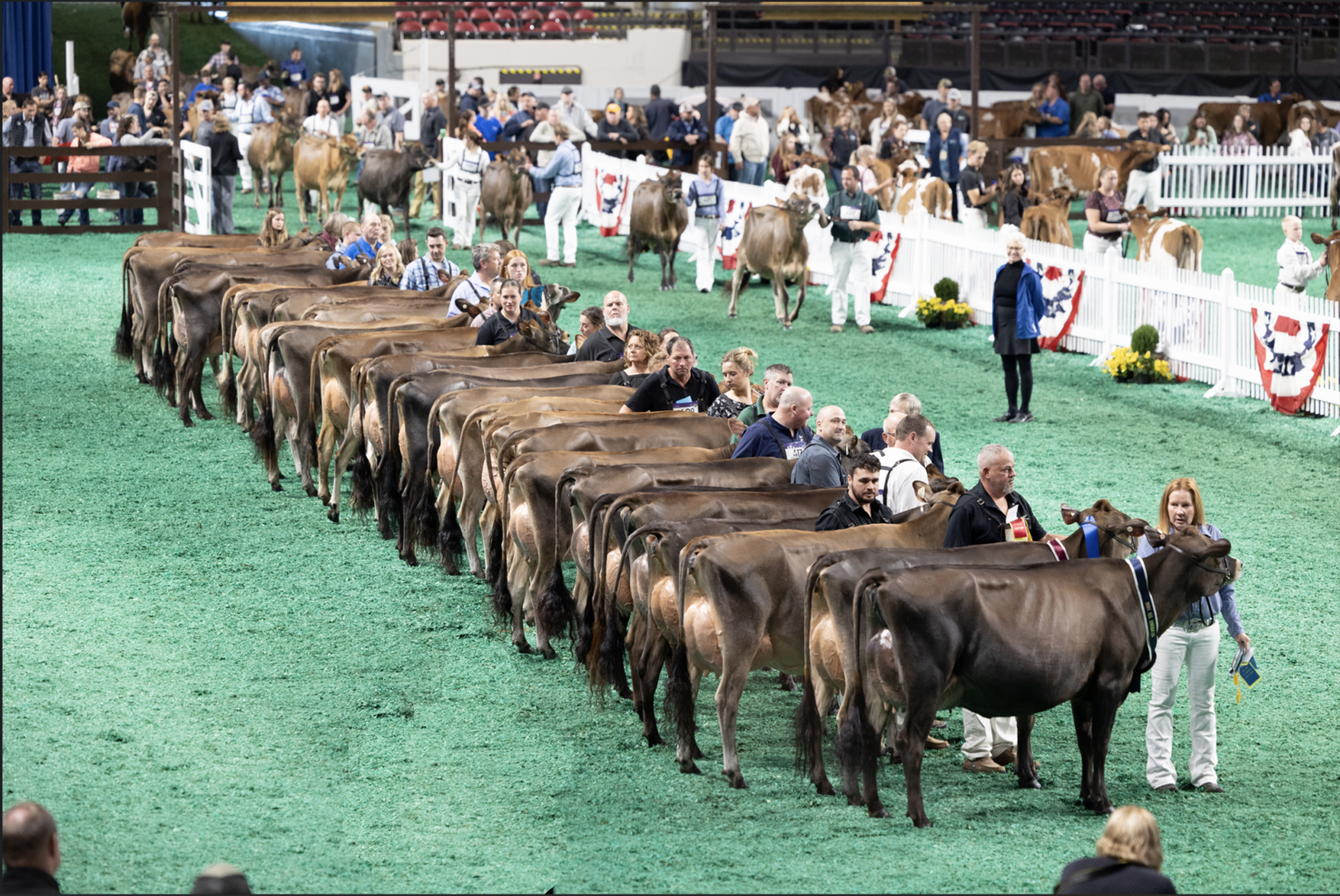 Ky State Fair 2027 Livestock Schedule