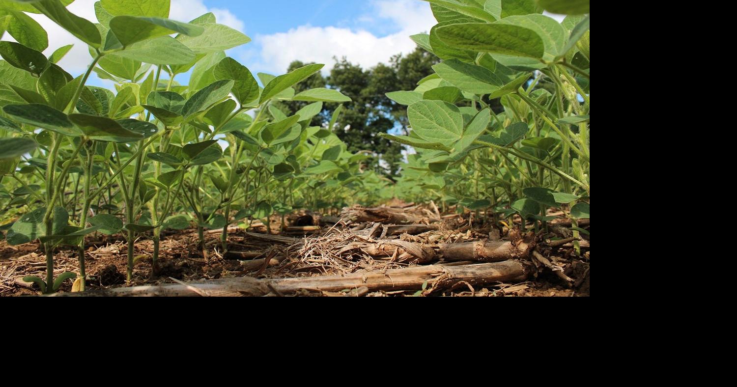 Ky. farmers using conservation practices | News | kentuckytoday.com
