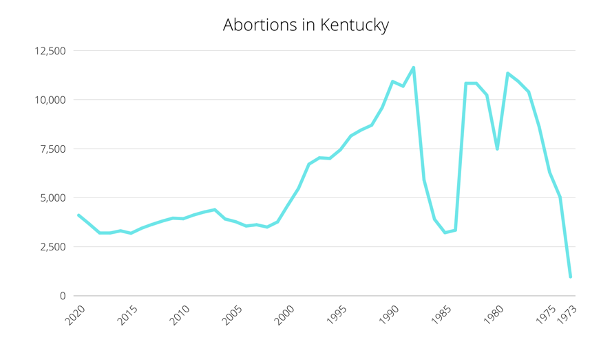 Kentucky Abortion Summary  Graphics (3).png