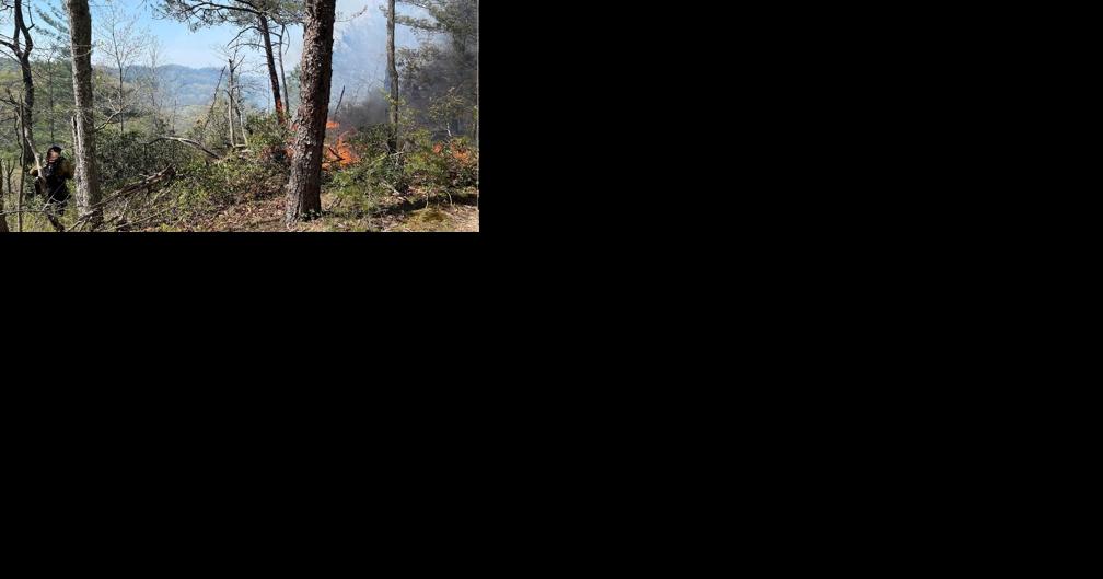 New containment lines set to control National Bridge wildfire - Vimarsana News