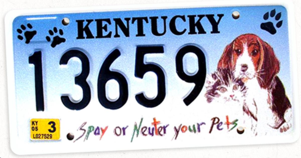 Setting Plate Contest Contest set for new spay and neuter license plate design | News ...
