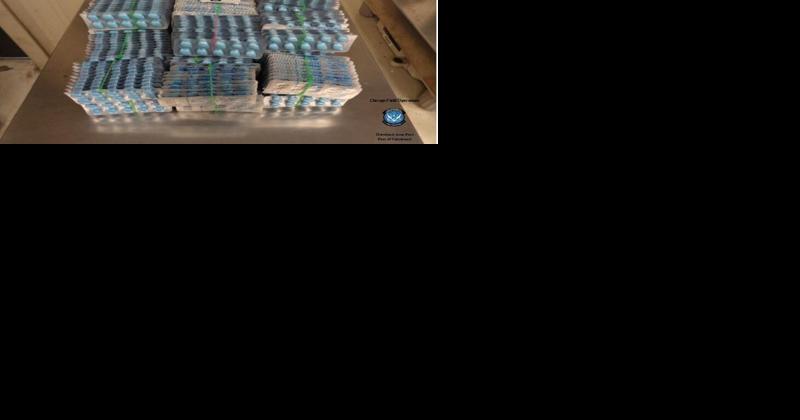 Customs intercepts 21 shipments of prescription drugs - Vimarsana News