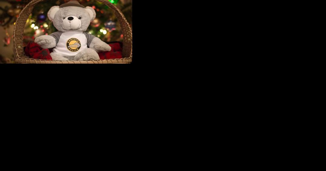 KSP having Black Friday sale for Teddy Bear program - Vimarsana News