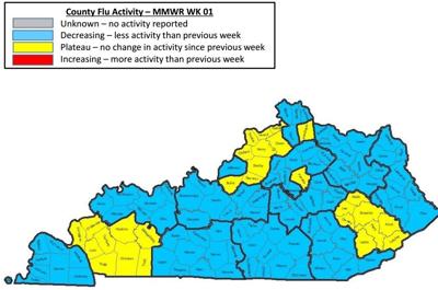 Decrease in flu cases in Kentucky over past month | News ...