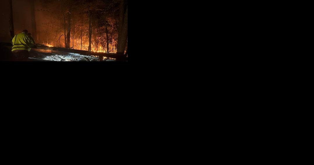 Wildfire closes trails around Natural Bridge - Vimarsana News