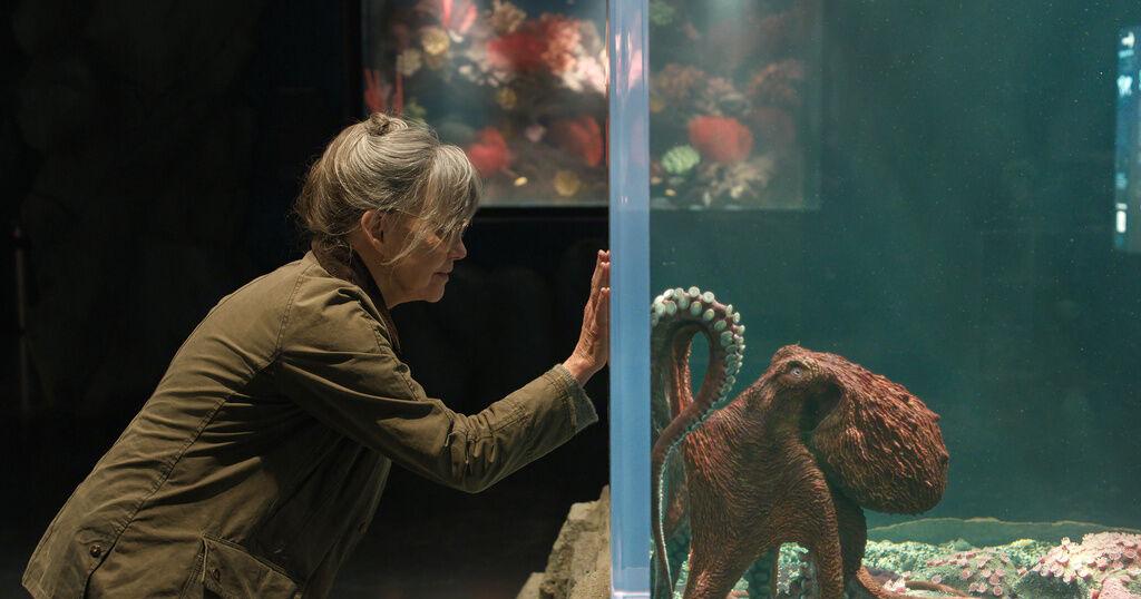 Movie Review: Sally Field, Lewis Pullman and an octopus in ‘Remarkably Bright Creatures’