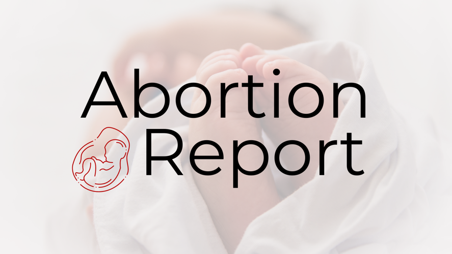 Abortion Report graphic drafts