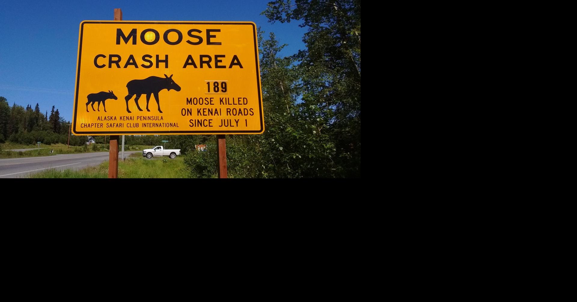 Negative Space: Leadership, Moose and the things we don't know we don't know
