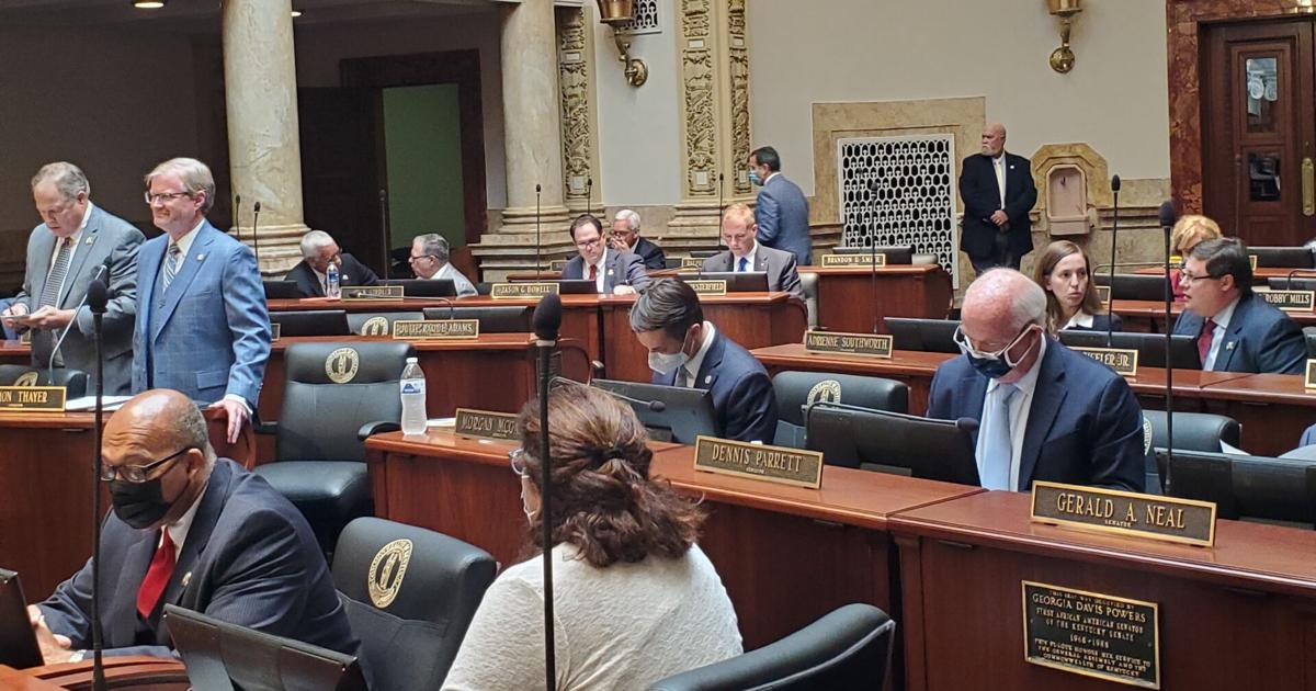 Senate names standing committee chairs for session | News ...