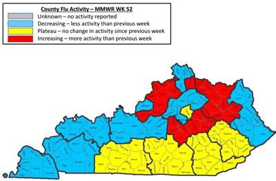 Kentucky has decline in flu cases; children still most susceptible ...