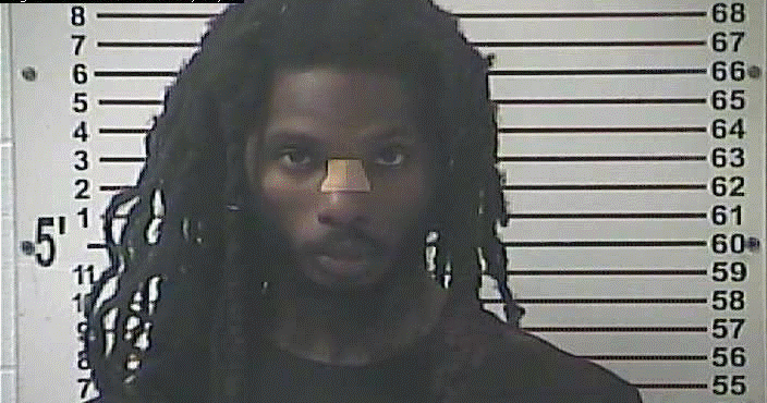 Alabama man arrested in I-65 vehicle, foot pursuit | News ...