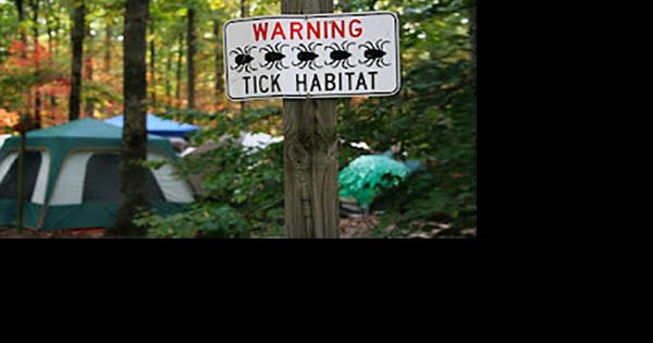 Ticks active in Kentucky year round, but now is prime time - Vimarsana News