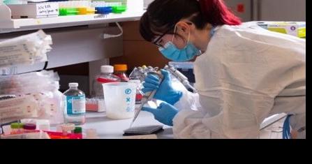 Flu season hitting Louisville, research shows - Vimarsana News