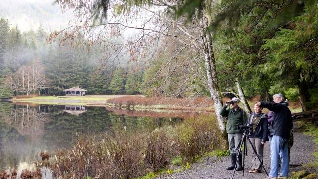 Alaska Hummingbird Festival returns to Ketchikan - Vimarsana News
