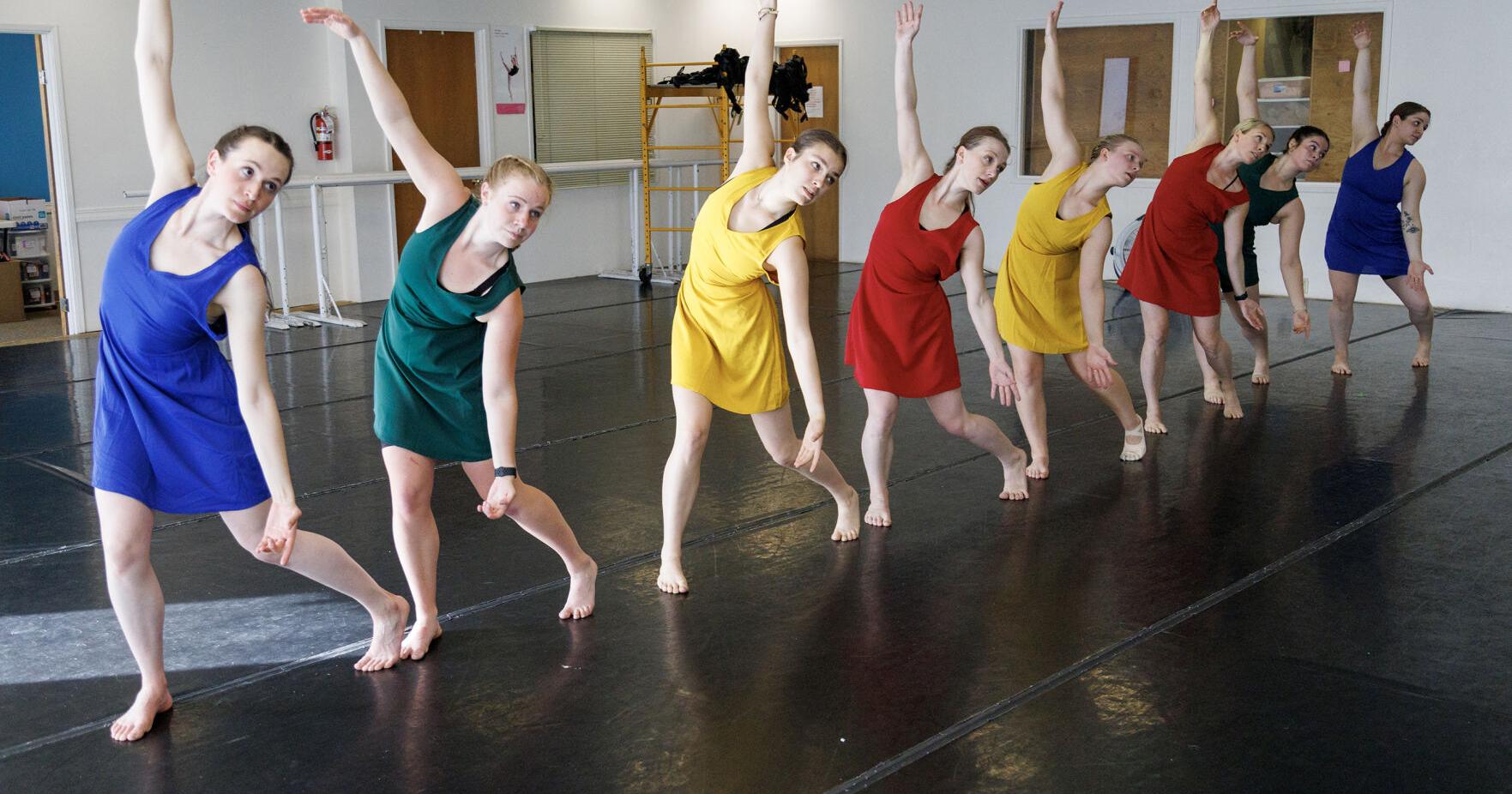 Andiamo Dance Company set to debut "The Nature of Things" | Scene - Vimarsana News