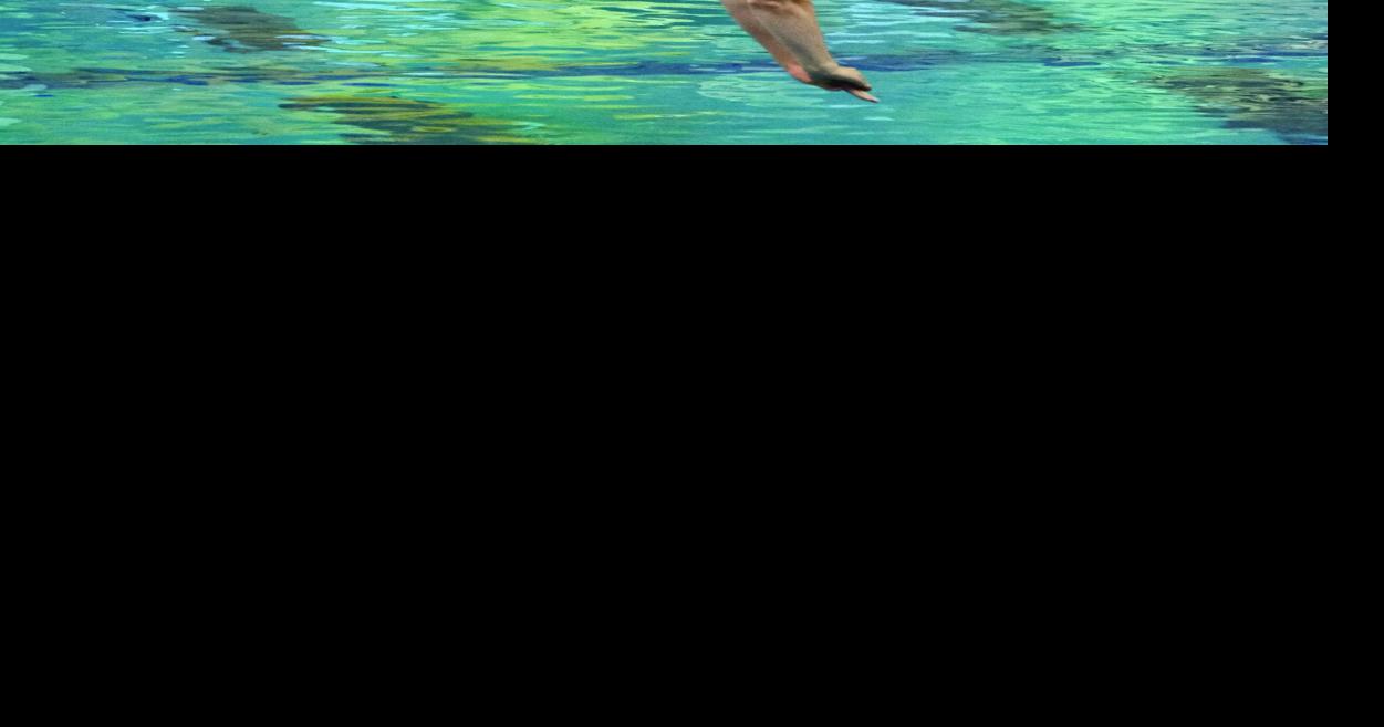 Kayhi Swim and Dive team to host upcoming meet