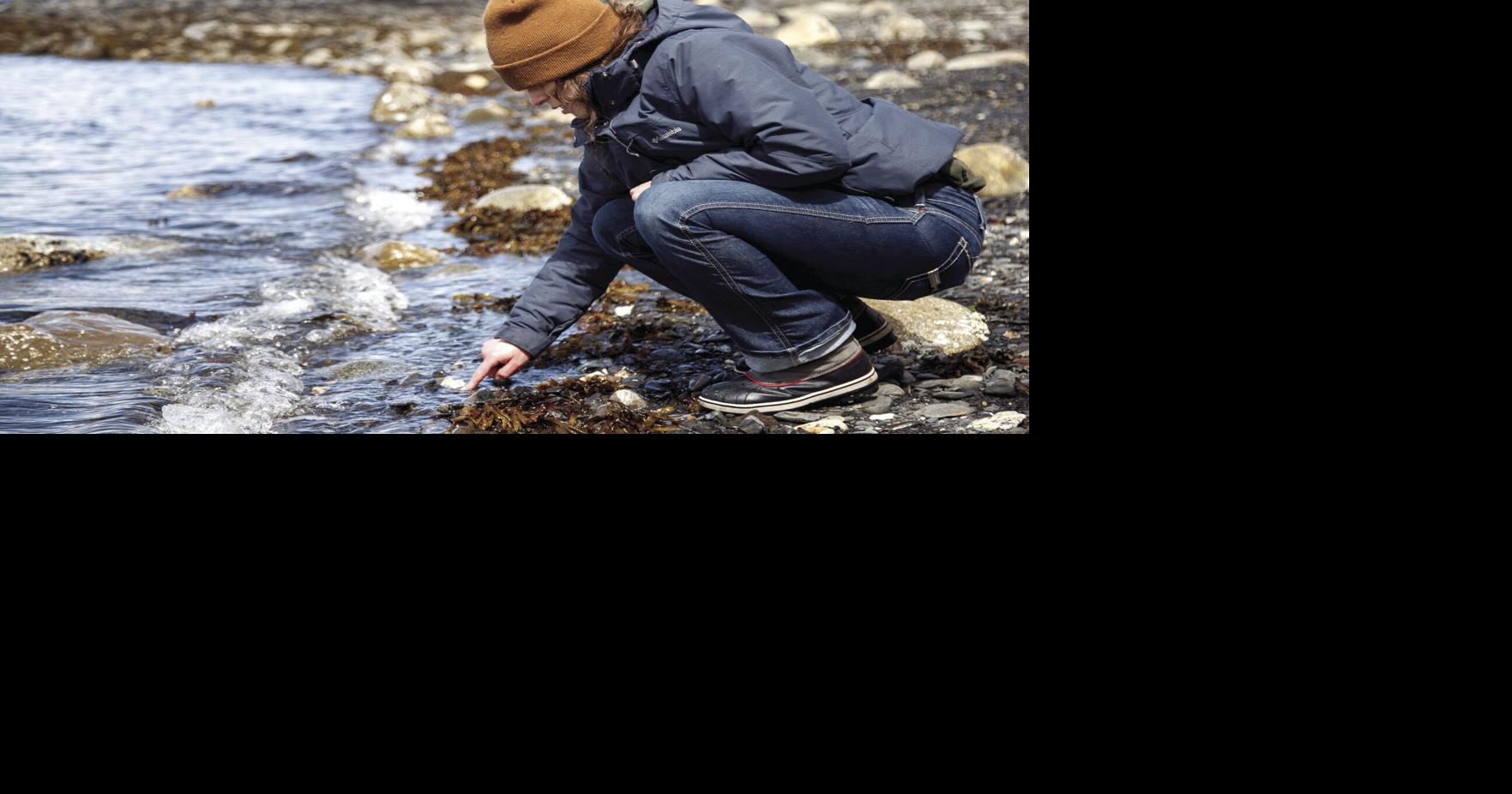 Beachcombing | Photos | ketchikandailynews.com