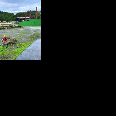 Ketchikan judge set to consider access dispute | Local News ...