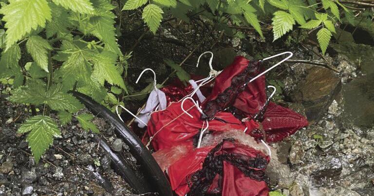 Red Dress Project at Ward Lake vandalized - Vimarsana News