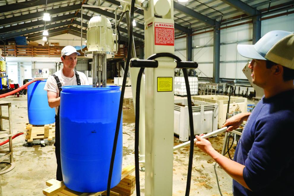 Pacific Kelp Co. boosting mariculture