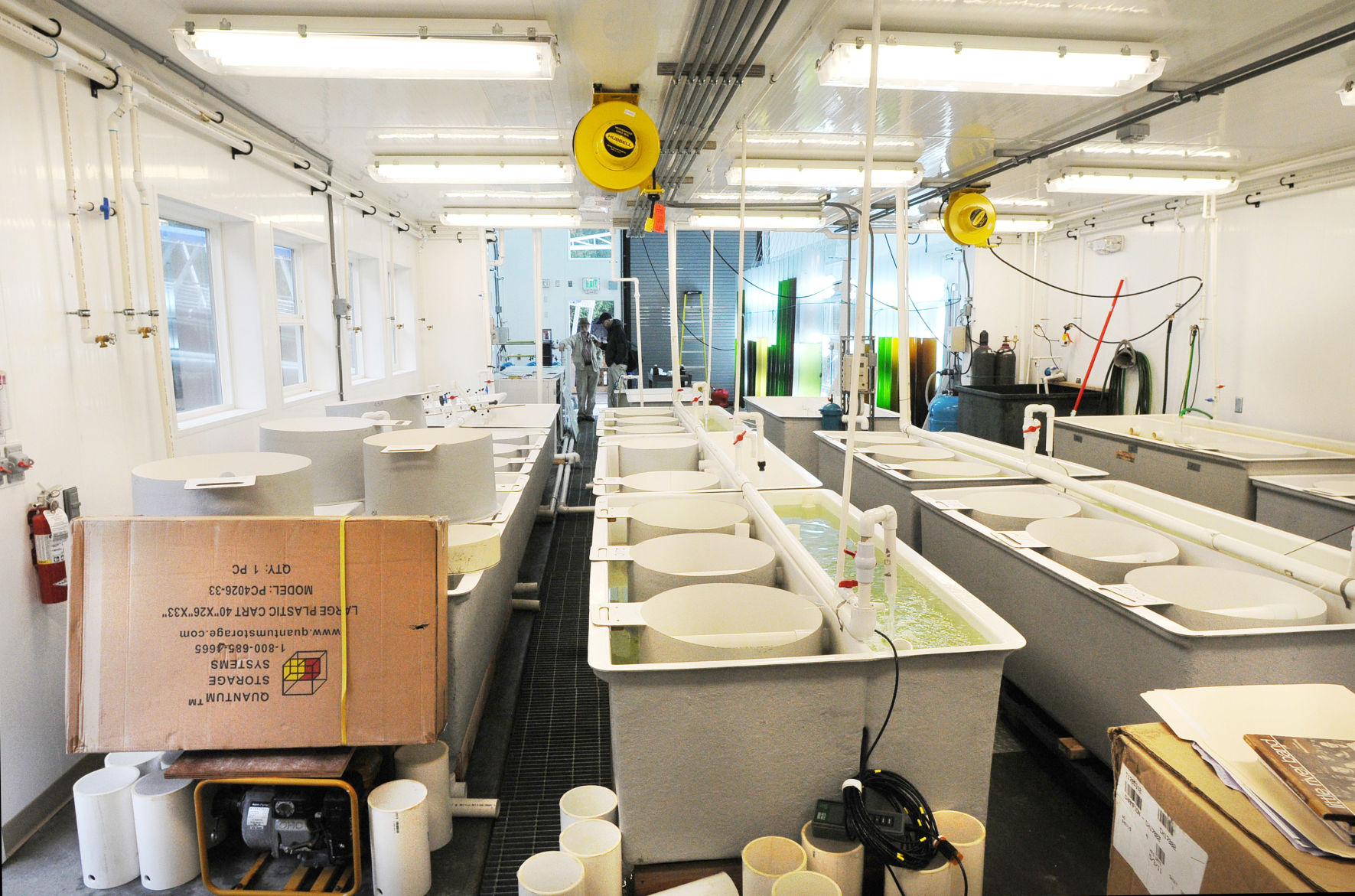 Oyster seed shortage slows industry Waterfront