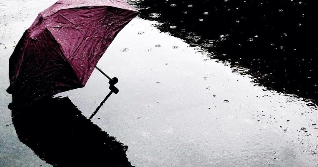 Septembers with the most precipitation in Florida since 1895