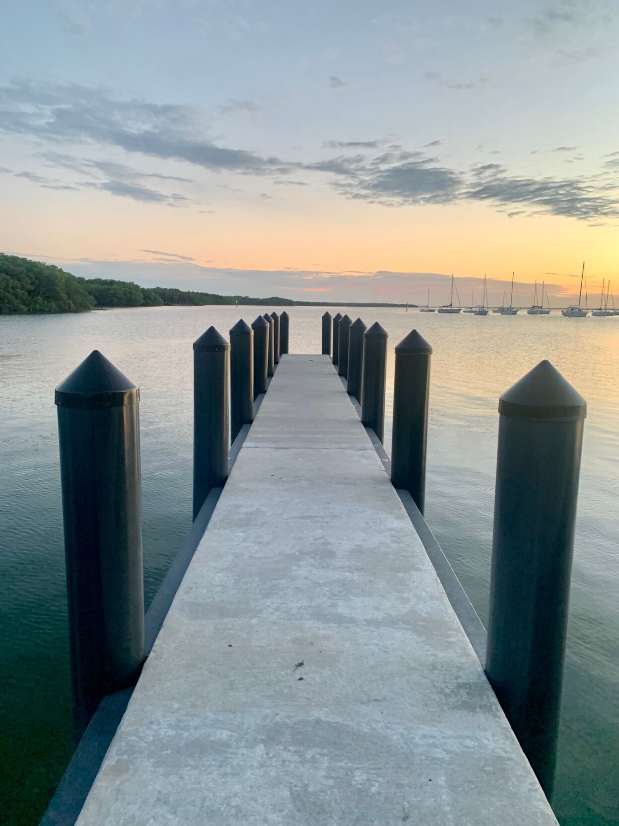 harbour