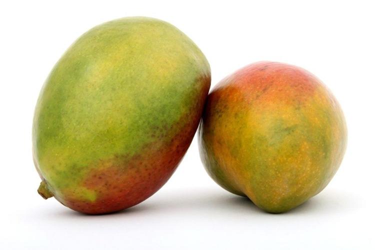 Mango Fest Key West to Celebrate ‘King of Fruit’ June 2326 Paradise