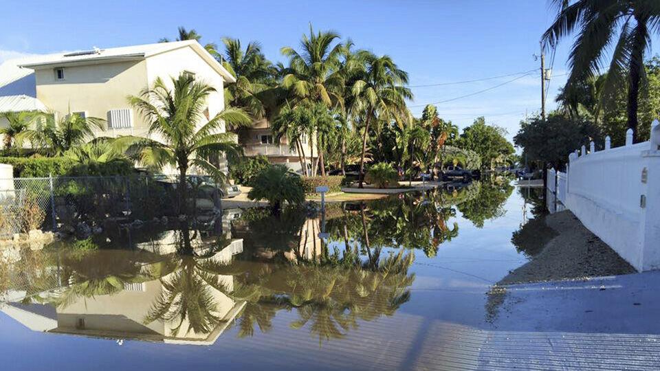 Keys will be dealing with sea levels in coming decades - Vimarsana News