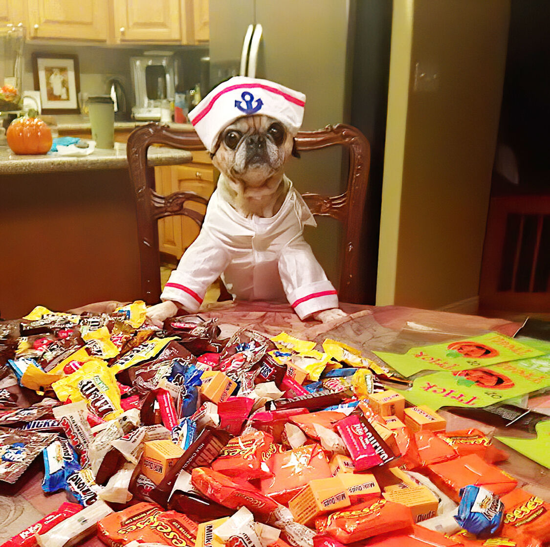 Candy for dogs best sale