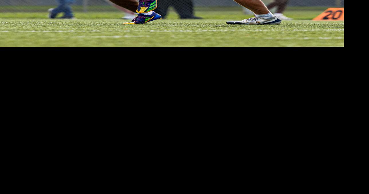 Dolphins fall by a point in 2026 warmup