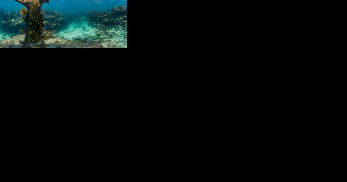 Shallow Keys reefs mean bright scenery and bonus bottom time - Vimarsana News