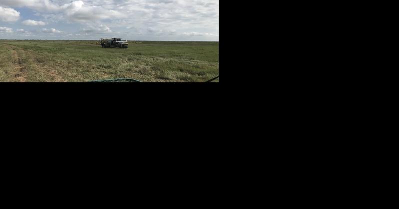 FWC continues torpedograss management on Lake Okeechobee - Vimarsana News