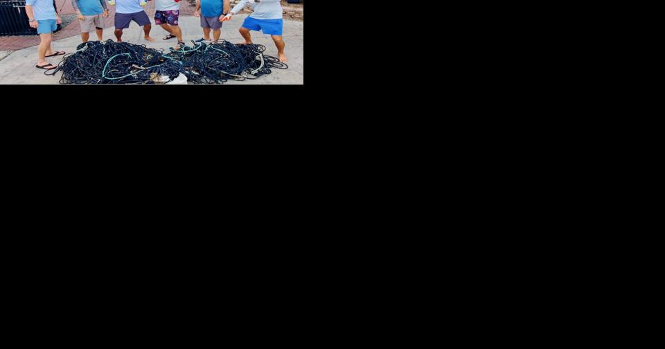 Dive operators join Blue Star program - Vimarsana News