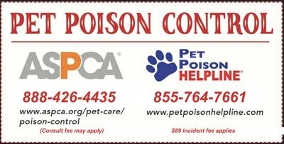 Pet Poison Prevention Awareness Month | Columns | keysnews.com