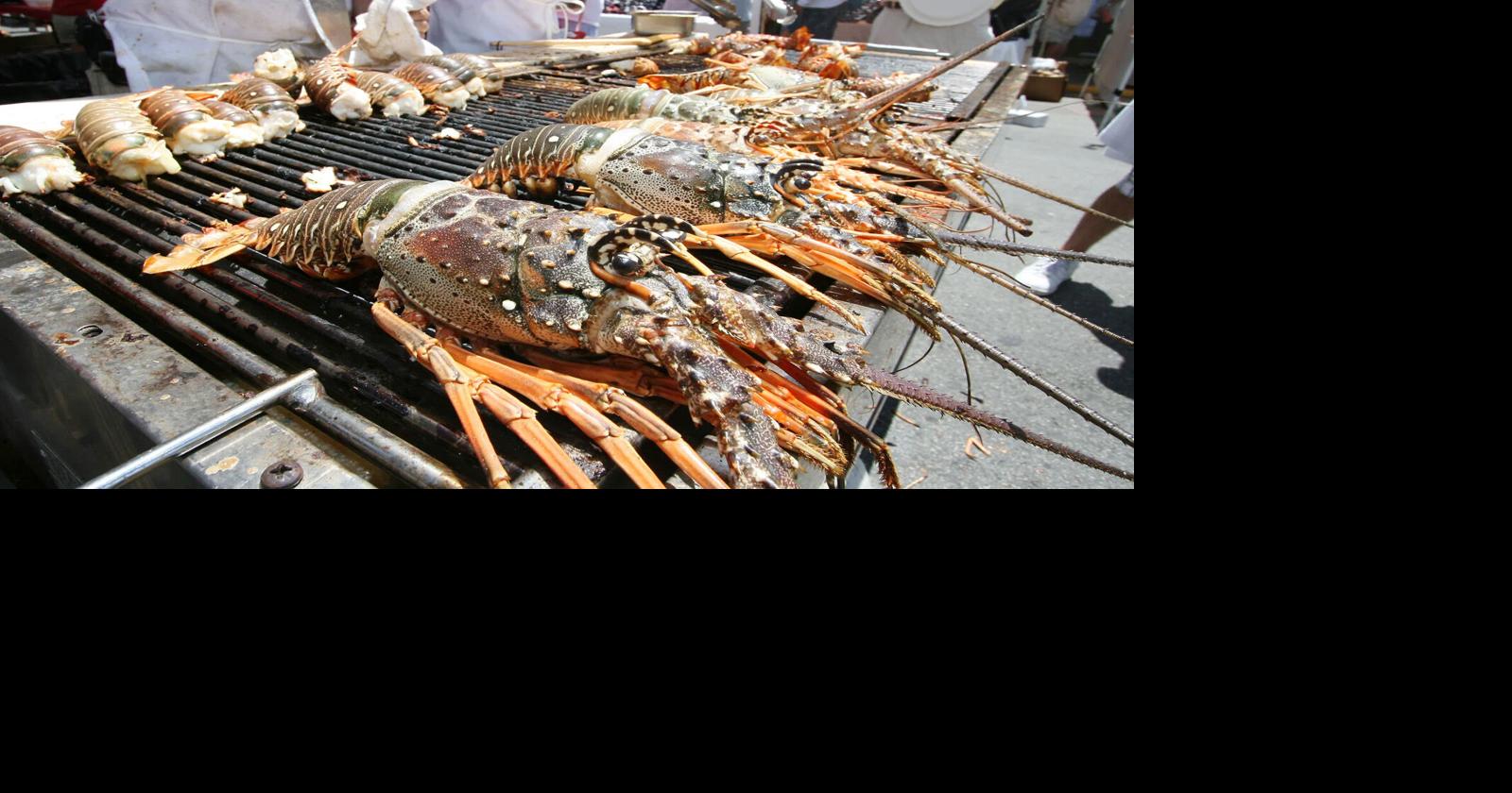 Key West Lobsterfest kicks of season